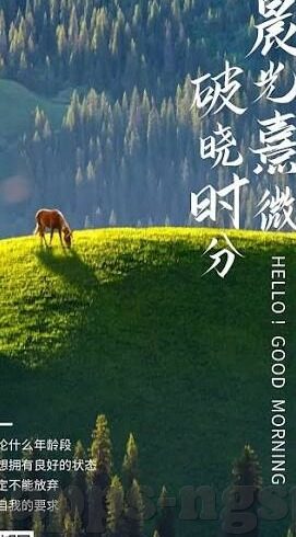 抢庄牛牛为-抢庄牛牛，策略与技巧的深度剖析